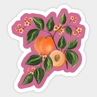 Peach pattern 5 Sticker